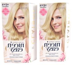 Clairol Nice 'n Easy Permanent Hair Color, 2V Plum Black, 1 